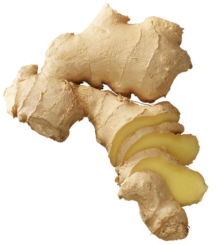 Zingiber officinale